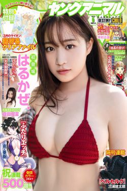 以爱为营追更日历表